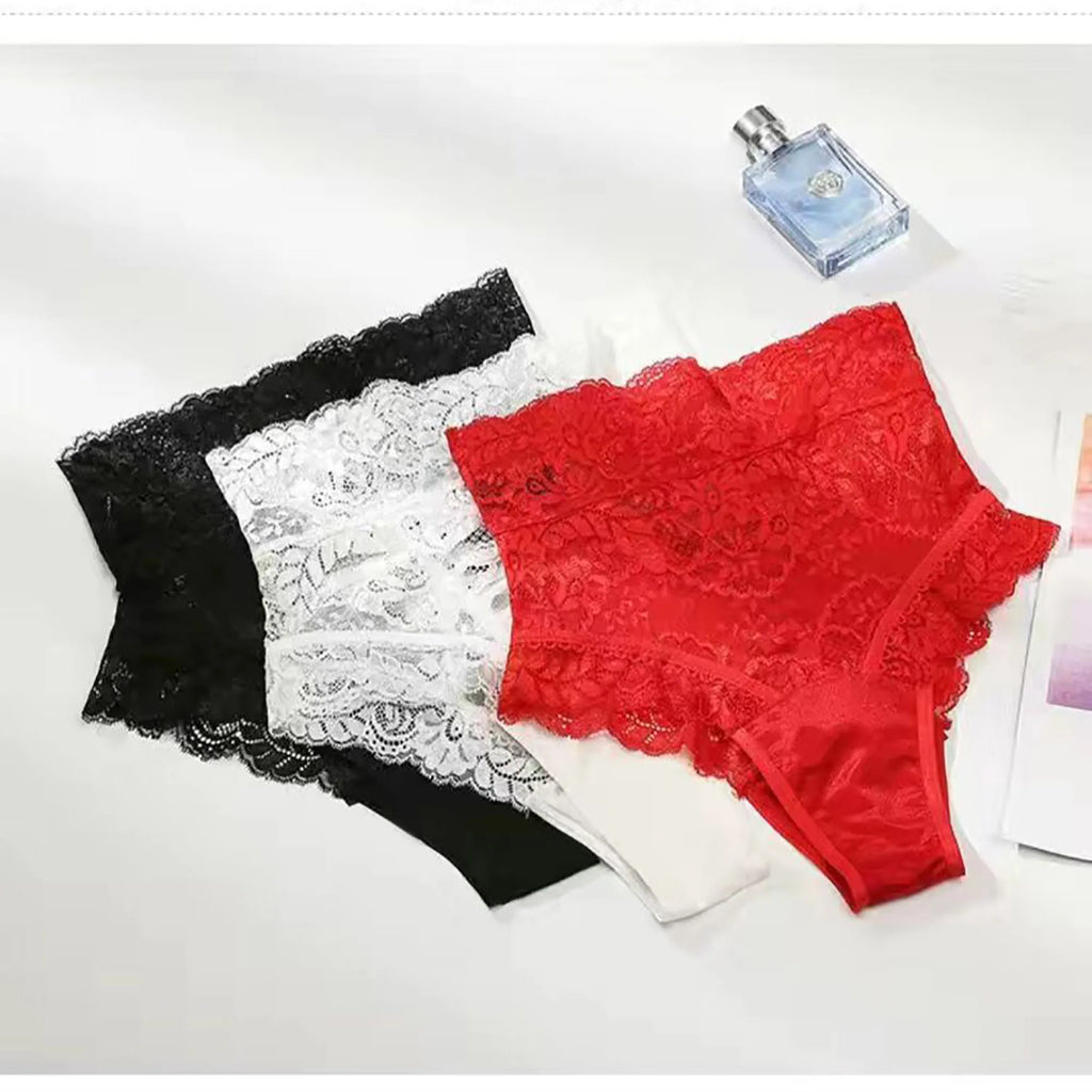 Women's Lace Lingerie and Panty Set Sexy Lingerie Sexy Nylon Panties Sheer Panties Sexy Lingerie Lingerie Panties