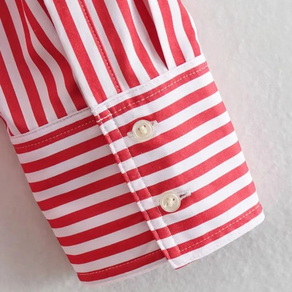 Oversized Poplin Shirts for Women, Long Sleeve, Button-up, Loose Female Blouses, Chic Tops, Fashion